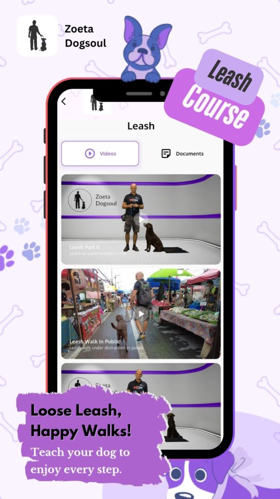 Loose Leash, Happy Walks! – Teach your dog to enjoy every step.