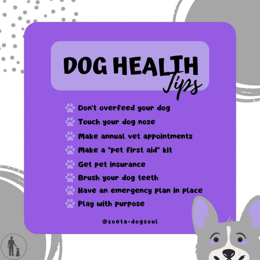 Dog Health Tips