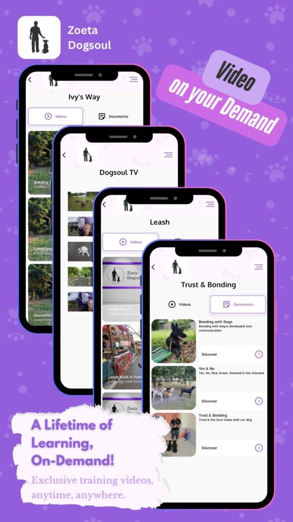 Exclusive training videos, anytime, anywhere.
