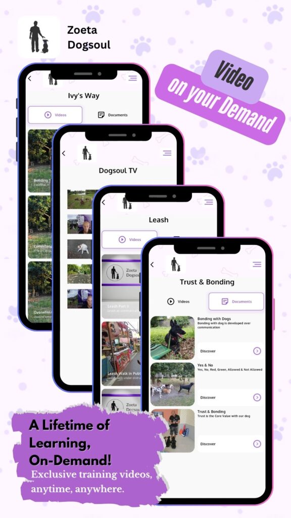 A Lifetime of Learning, On-Demand! – Exclusive training videos, anytime, anywhere.