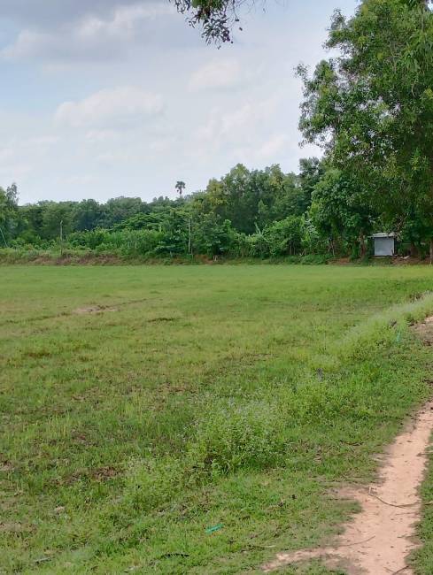 dog training center khon kaen