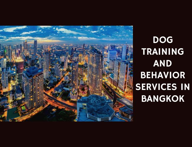 Dog Training and Behavior Services in Bangkok