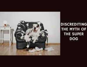 Discrediting the Myth of the Super Dog