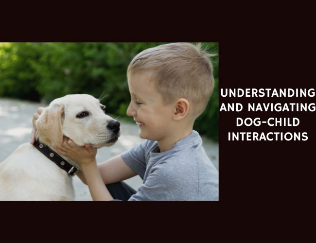 Understanding and Navigating Dog-Child Interactions