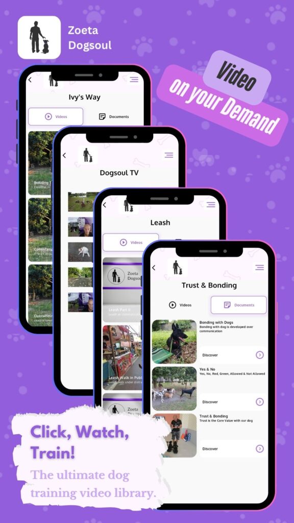 Click, Watch, Train! – The ultimate dog training video library.