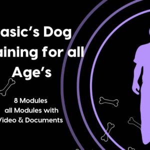 Basic’s Dog Training for all Age’s