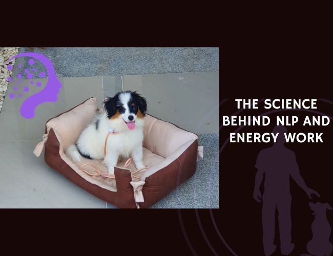 Dog Training The Science Behind NLP and Energy Work