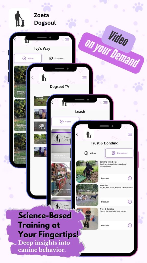 Science-Based Training at Your Fingertips! – Deep insights into canine behavior.