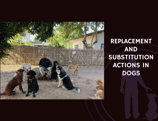 Replacement and Substitution Actions in Dogs