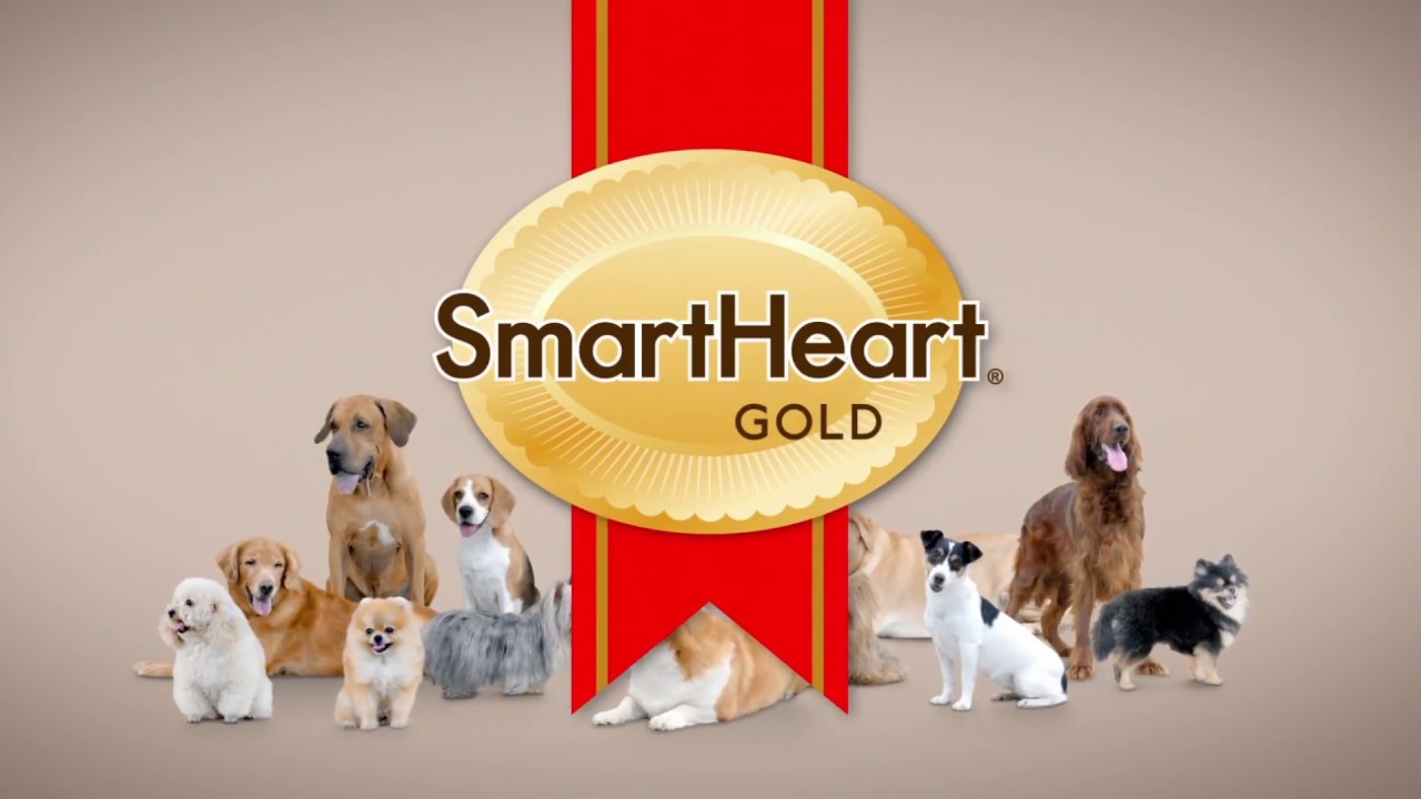 smart heart gold