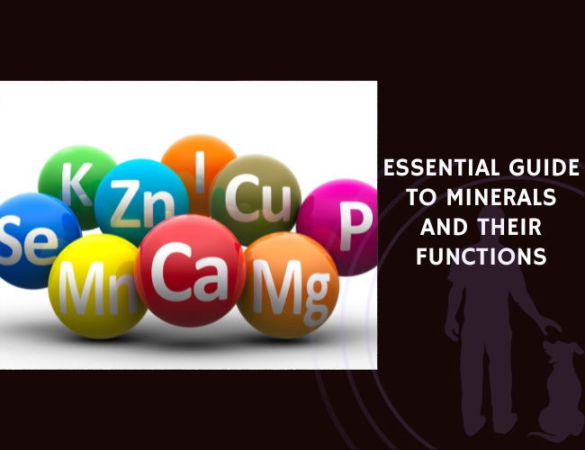 Essential Guide to Minerals and Their Functions