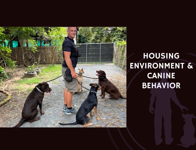 Housing Environment & Canine Behavior