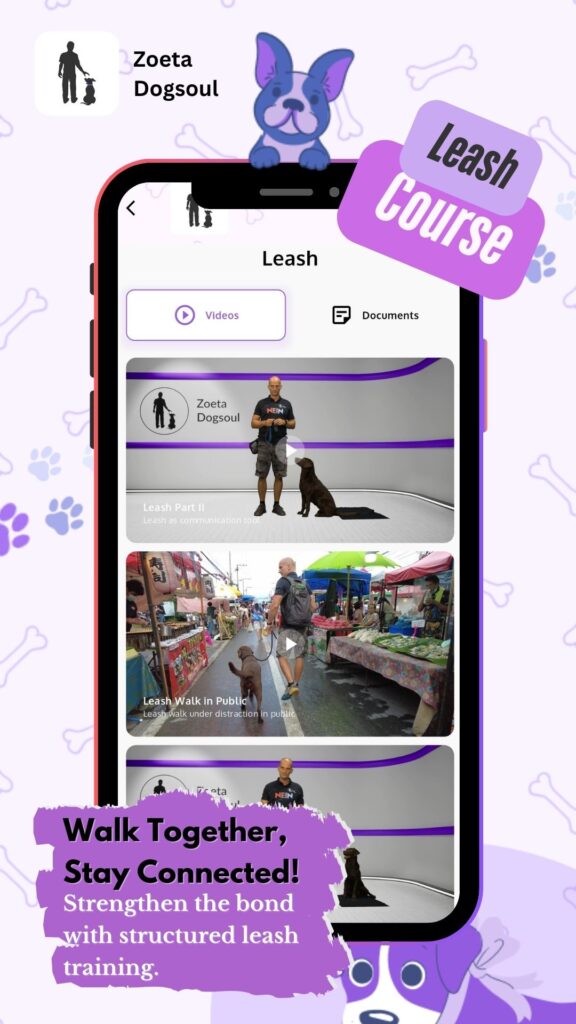Walk Together, Stay Connected! – Strengthen the bond with structured leash training.