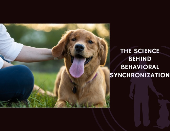 The Science Behind Behavioral Synchronization