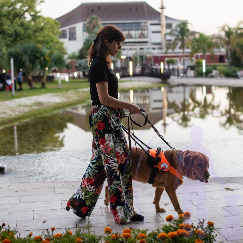 By prompting the release of these beneficial neurochemicals, dogs offer a unique form of therapeutic assistance