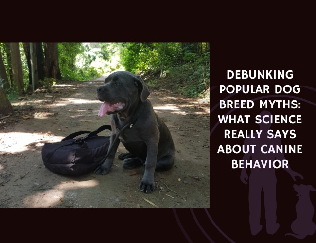 Debunking Popular Dog Breed Myths What Science Really Says About Canine Behavior