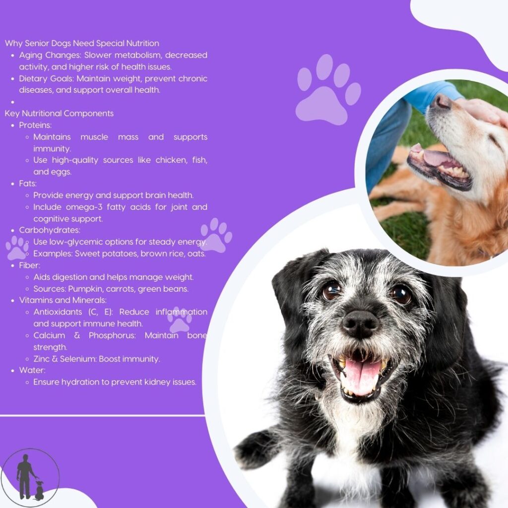 Ensuring your dog maintains a healthy weight through diet is essential