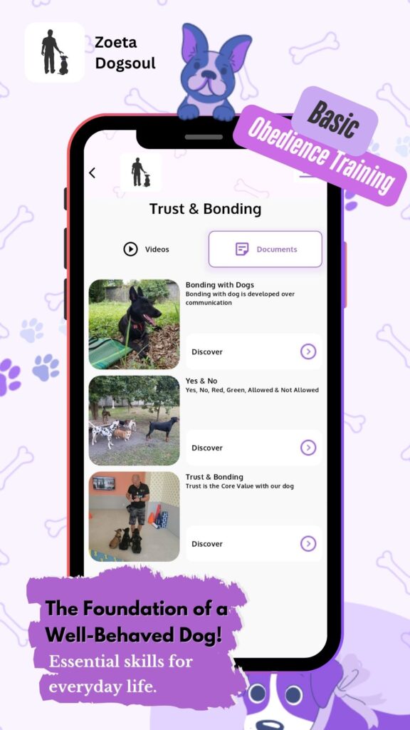 The Foundation of a Well-Behaved Dog! – Essential skills for everyday life.