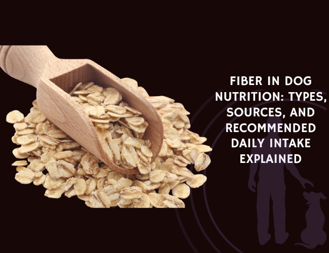 Fiber in Dog Nutrition