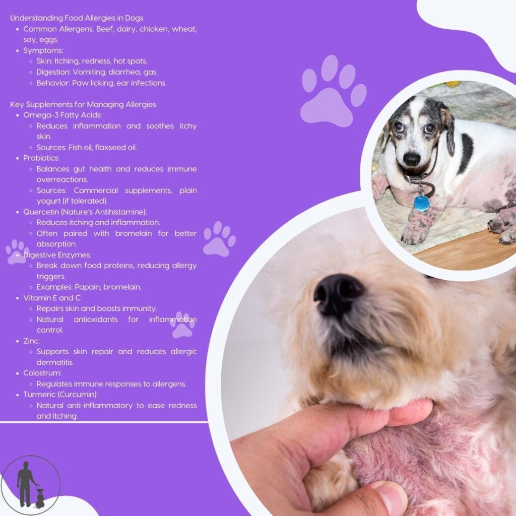 Food allergies occur when the dog's immune system overreacts to specific proteins or ingredients present in their diet