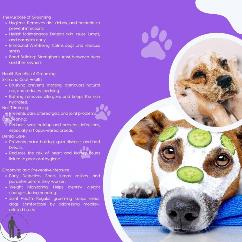 Grooming also encompasses essential preventive measures like nail trimming and ear cleaning
