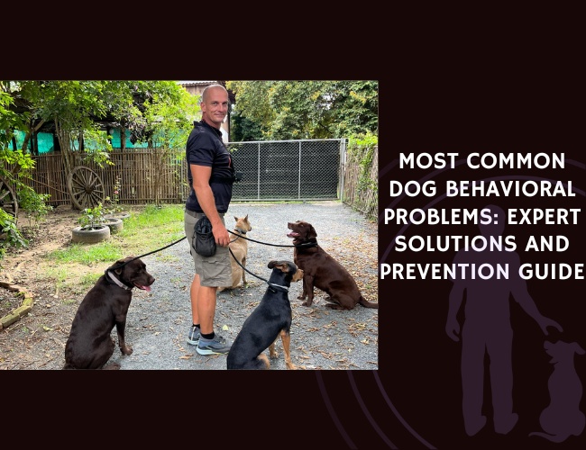 Most Common Dog Behavioral Problems Expert Solutions and Prevention Guide