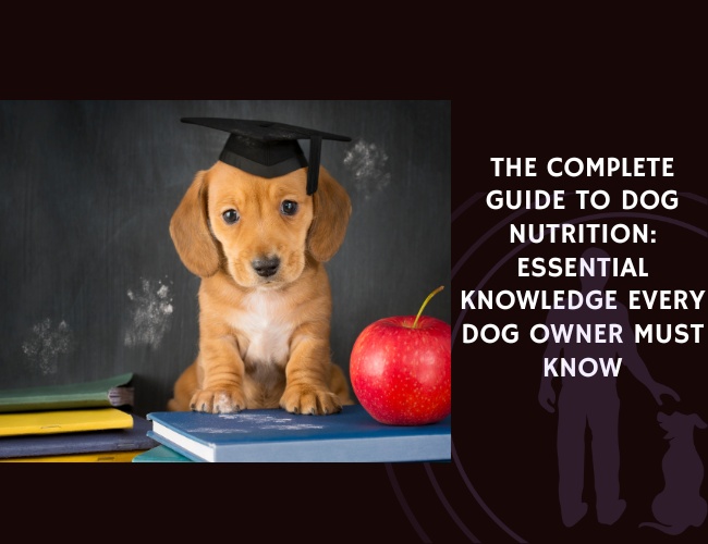 The Complete Guide to Dog Nutrition Essential Knowledge Every Dog Owner Must Know