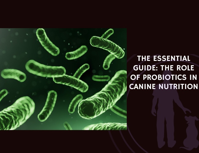 The Essential Guide The Role of Probiotics in Canine Nutrition