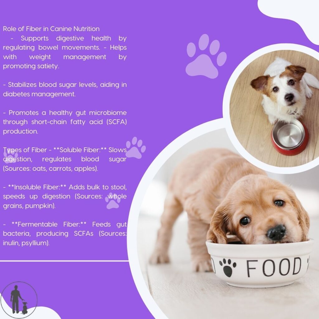 Maintaining an appropriate fiber intake is essential for dogs' overall health