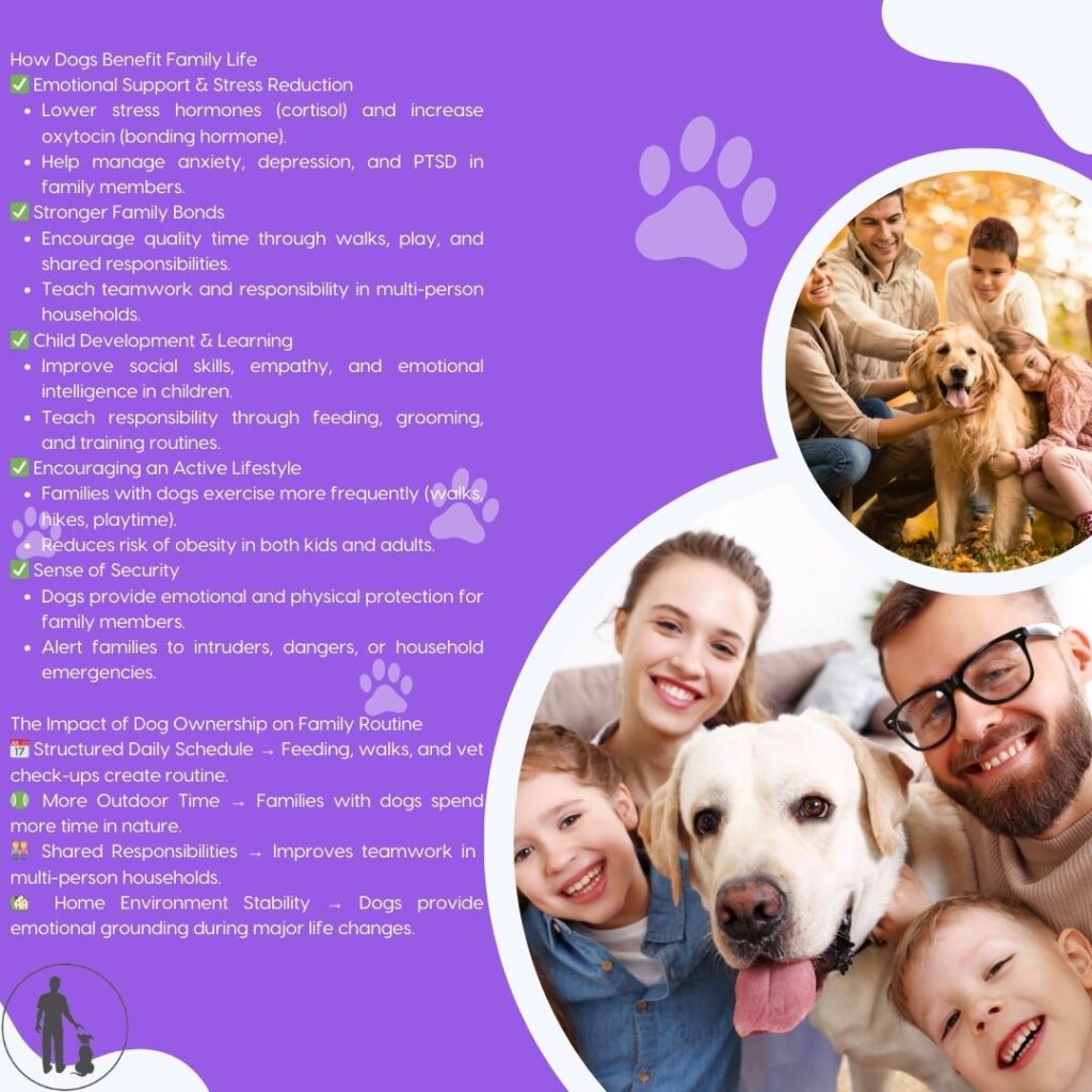 Beyond their physical guarding abilities, dogs offer substantial emotional protection to family members