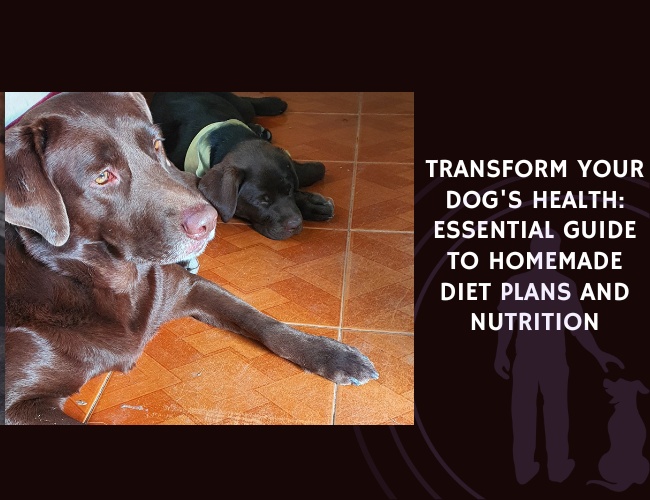 Transform Your Dog's Health Essential Guide to Homemade Diet Plans and Nutrition
