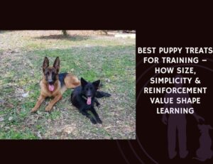 Best Puppy Treats for Training – How Size, Simplicity & Reinforcement Value Shape Learning