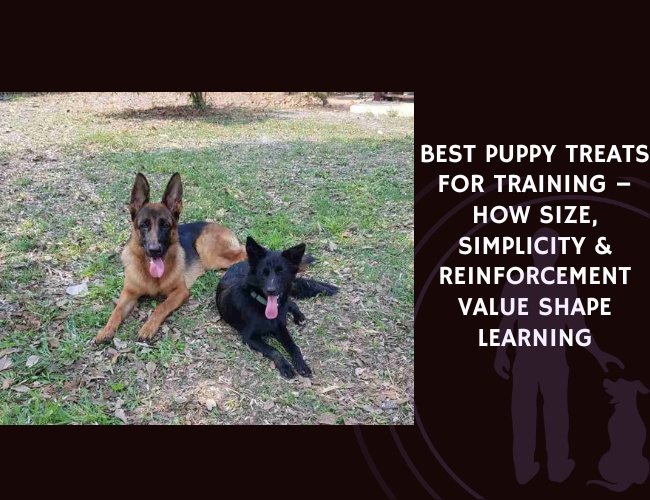 Best Puppy Treats for Training – How Size, Simplicity & Reinforcement Value Shape Learning