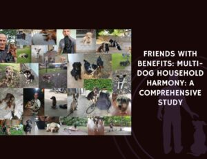 Friends with Benefits Multi-Dog Household Harmony A Comprehensive Study