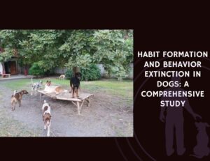 Habit Formation and Behavior Extinction in Dogs A Comprehensive Study