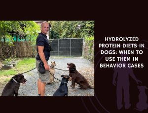 Hydrolyzed Protein Diets in Dogs