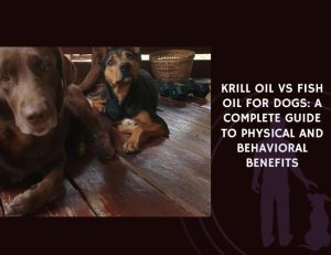Krill Oil vs Fish Oil for Dogs