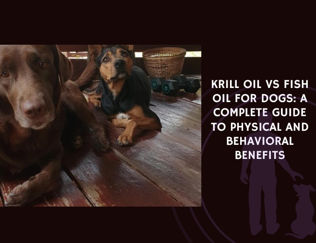 Krill Oil vs Fish Oil for Dogs