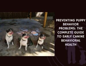 Preventing Puppy Behavior Problems The Complete Guide to Early Canine Behavioral Health