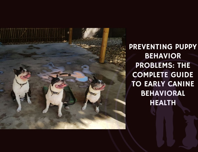 Preventing Puppy Behavior Problems The Complete Guide to Early Canine Behavioral Health