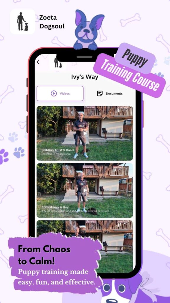 Puppy training made easy, fun, and effective.
