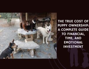 The True Cost of Puppy Ownership