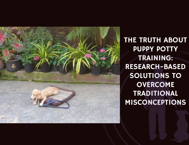 The Truth About Puppy Potty Training Research-Based Solutions to Overcome Traditional Misconceptions