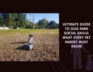 Ultimate Guide to Dog Park Social Skills What Every Pet Parent Must Know
