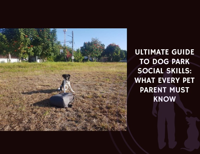 Ultimate Guide to Dog Park Social Skills What Every Pet Parent Must Know