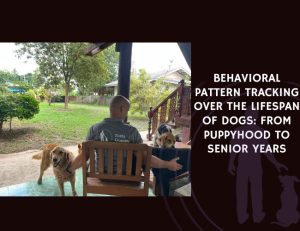 Behavioral Pattern Tracking Over the Lifespan of Dogs From Puppyhood to Senior Years