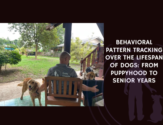 Behavioral Pattern Tracking Over the Lifespan of Dogs From Puppyhood to Senior Years
