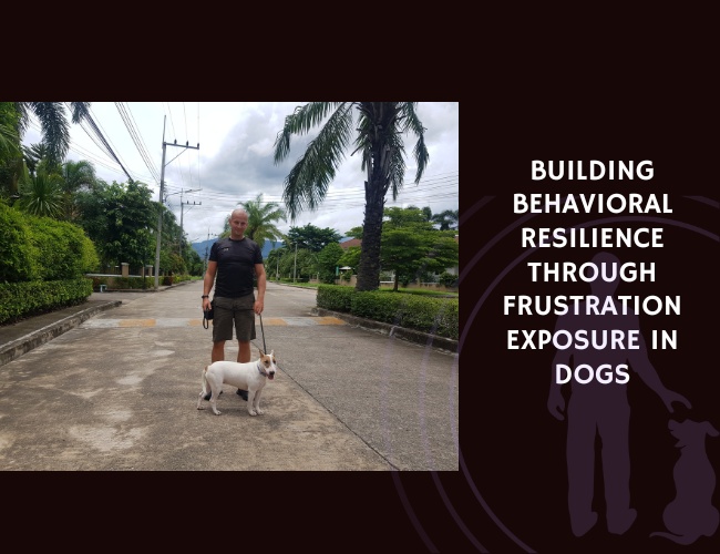 Building Behavioral Resilience Through Frustration Exposure in Dogs