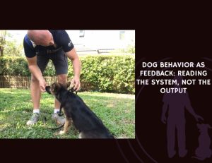Dog Behaviour as Feedback Reading the System, Not the Output