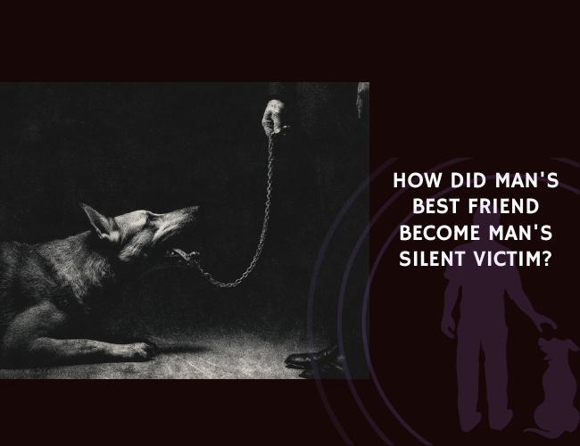 How did man's best friend become man's silent victim